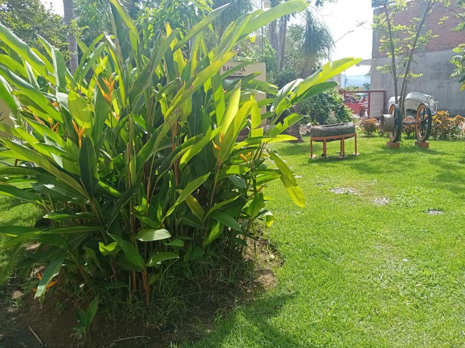 Villas Dulce Suenos Rincon de Guayabitos Ngoại thất bức ảnh